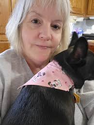 Pet bow ties and bandanas for sale. Prices: plain bandana $4, customized  bandana $6, bow tie $5