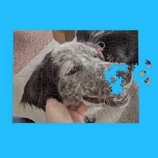 Check spelling or type a new query. Personalised 1000 Piece Jigsaw Puzzle