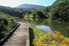 Google has many special features to help you find exactly what you're looking for. é™½æ˜Žå±±æ«»èŠ±å­£ 2021é™½æ˜Žå±±æ™¯é»žç§˜å¢ƒ é™½æ˜Žå±±èŠ±å­£ æº«æ³‰ å¤œæ™¯æŽ¨è–¦ å¿…åƒé¤å»³ åŒ…æ£Ÿæ°'å®¿ é™½æ˜Žå±±ä¸€æ—¥éŠè·Ÿè'—èµ°å°±å°
