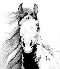 Running horses are beautiful and graceful creatures. A Wild Mustang I Called Geronimo By Cheryl Poland Horse Drawings Horse Sketch Horse Art