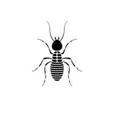 This button will take you to buyerzone, which will help you compare orkin against other pest control services in your area.view deal on orkin. Rbh Pest Control Qatar