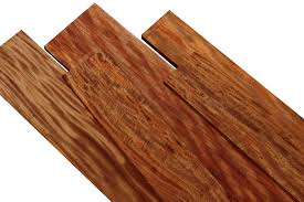 Image result for Khaya