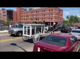 White Hearse With Black Horse Boyd Funeral Home To Harleigh Cemetery Cam In 2020 Hearse Funeral Home Black Horse