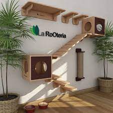 Bebedouro Para Gatos Cat Housepin Cat House Diy Cat Room Cat Walkway