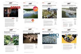 From challenges to impact: How to make collaborative journalism that works 