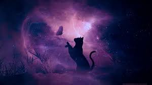 Wallpapers Black Cat Silhouette Cat Art Violet Black Cat Art Desktop Wallpaper Black Black Cat Hope you guys enjoy them! pinterest