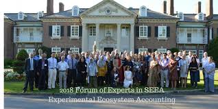 Feb 14th, 2021) about these results. Forum Of Experts In Seea Experimental Ecosystem Accounting System Of Environmental Economic Accounting