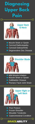 Pin On Psoas Pain