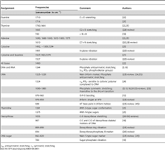 Frequencies Of The Ft Ir Absorption Markers For Dna Vibration Groups As Download Table