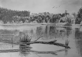 When drawing water edges, such as a riverbank, keep the. How To Draw Reflective Water Online Art Lessons