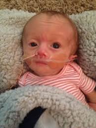 Beau William Singleton Obituary July 25, 2015