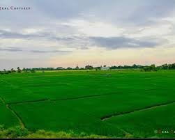 The latest ones are on mar 16, 2021 8 new land for sale agriculture results have been found in the last 90 days, which means that every 12, a new land for. Agricultural Land Plot For Sale 12 1 Lakh 49 0 Acres In Tandur Agriculture Land For Sale In Hyderabad 165358542 Clickindia