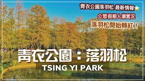 由於早前收到大會通知，本年度青衣天后誕因新型冠狀肺炎影響，大會取消2021年之恭祝青衣天后誕，本會內部商議後，現決定於2021年5月9日（星期日）上午09：00與本會醒獅自行前往青衣天后宮賀誕參神，參神後自行離開，各善信如有興趣跟隨本會前往參神，請通知 6712 2119 阿醒 6189 2770 祥叔. é¦™æ¸¯å¥½åŽ»è™• é'è¡£å…¬åœ'è½ç¾½æ¾é–‹å§‹è®Šç´… æ­é™¸å¼åº­é™¢ é'è¡£å¸‚ä¸­å¿ƒæ—¢ç¶ æ´² ä¸­æ–‡å­—å¹• Tsing Yi Park Where To Go In Hong Kong Eng Cc Sub Youtube