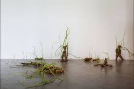 Bildergebnis für Cristiano Lenhardt