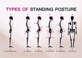 a picture of good posture