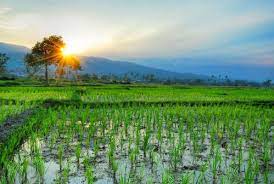 Pemandangan alam indah pedesaan inspirasi dan informasi foto. Pemandangan Alam 700x700 Wallpaper Teahub Io