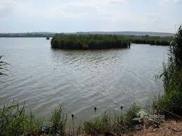 Este posibil sa aveti cateva idei proaspete legate de venituri suplimentare si în. Locuri De Pescuit Din Delta Dunarii Salcioara 6 Martie