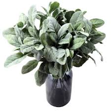 Compare prices on popular products in home decor. Shacos 12 Pcs Artificial Flocked Lambs Ear Spray Lamb Ear Stems Foliage Picks Artificial Greenery Plant For Home Wedding Diy Craft Floral Arrangement 12 Pcs Green