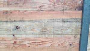 Other collections of zwarte schimmel op hout verwijderen. Schimmels Op Douglas Hout Woodworking Nl