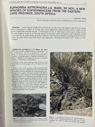 Image result for Plinthus karooicus