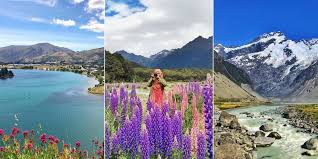 Indahnya pemandangan gunung dan pantai selatan pulau timor. Keren 30 Gambar Pemandangan New Zealand Gambar Pemandangan Keren