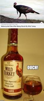 Frontpage Wild Turkey 101 Memes Gifs Imgflip