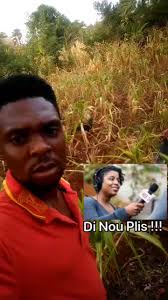 Éclosion Surprise fèm pa gen kontròl ti zanmim yo, @à la une #letsmove  #htown