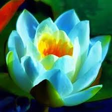 One Of My Favorites So Beautiful Beautiful Flowers Flowers Plants