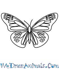 You might say butterflies are more beautiful in color but. How To Draw A Butterfly