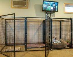 Pin By Becky Miller On Ideas Indoor Dog Kennel Dog Kennel Diy Dog Kennel