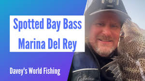 Fishing Spotted Bay Bass in Marina Del Rey