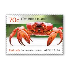 The christmas island red crab, gecarcoidea natalis, is a species of land crab that is endemic to christmas island and the cocos (keeling) islands in the indian ocean.although restricted to a relatively small area. Christmas Island Red Crab Migration Australia Post
