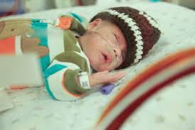 Labor To Love, Through A Lens