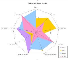 Copetown Blog Belbin Team Profile Test