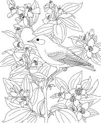 These alphabet coloring sheets will help little ones identify uppercase and lowercase versions of each letter. Drawing Birds 12108 Animals Printable Coloring Pages