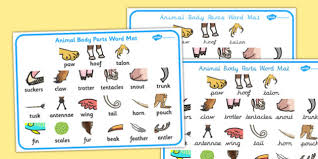 Vocabulary exercises to help learn words for parts of the body. Animal Body Parts Vocabulary Mat Esl Vocabulary Resources