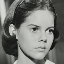 The Horse in the Gray Flannel Suit (1968)