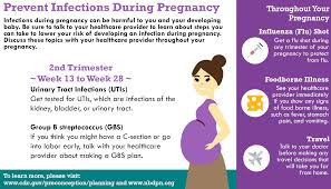 Pin On Birth Defect Prevention