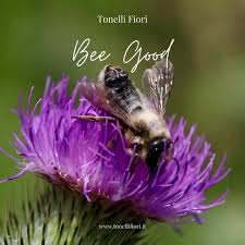 Lidl riva fiori domani : Tonelli Fiori Home Facebook