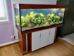 Co2 Einbringung Co2 In Einem Ca 500l Becken Nachtabschaltung Aquarium Forum