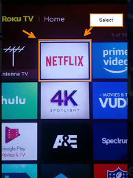 Roku is a hardware product for streaming internet content to a visual display device (like a tv). How To Change Your Netflix Password Daves Computer Tips