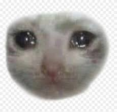 Your makeup isn't getting ruined, and you're proud about that. Sad Crying Cat Face Clipart 518911 Pikpng