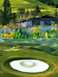 丁真帶火的理塘，到底藏著什麼秘密？｜Trip.com 理塘