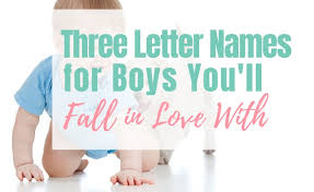 Along with kai, other baby boy names with three letters in the us top 300 include eli, ian, leo, max, jax, and ace. Three Letter Names For Boys That You Ll Fall In Love With Living For The Sunshine
