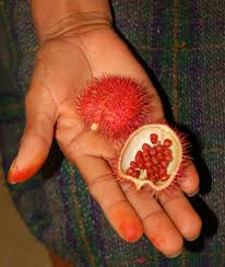 Clusia fruit will break open to reveal seeds. 46 Of The World S Weirdest Fruits And Vegetables Bored Panda