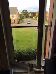 Cats always have and will continue to scratch at window screens, resulting in torn screens that pose an escape or falling hazard. Cat Proofing An Inwards Opening Juliet Balcony Thecatsite