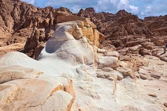 St. Catherine Monastery / The White Canyon / Oasis tour from Dahab (with Reviews)