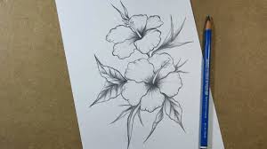 Maybe you would like to learn more about one of these? How To Draw Hibiscus Flower Step By Step Pencil Youtube