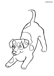 Have much fun by coloring this image. Jack Russel Puppy Coloring Page Puppy Coloring Pages Dog Coloring Page Puppy Prints