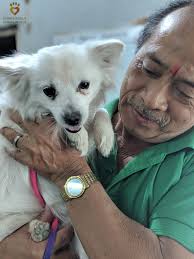 Dharamsala Animal Rescue